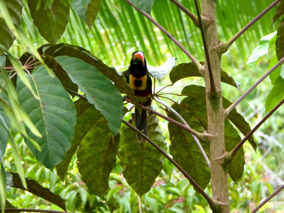 P1000119
