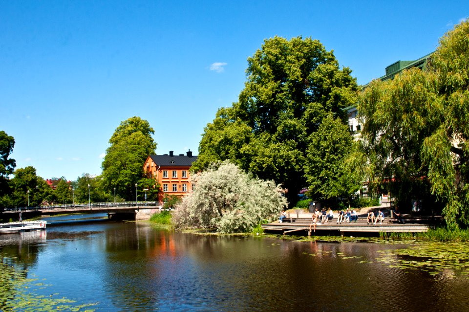 Summer in the city