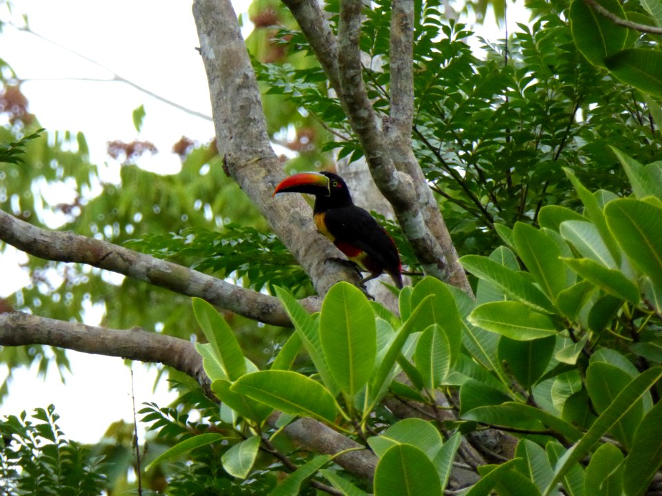 P1000117