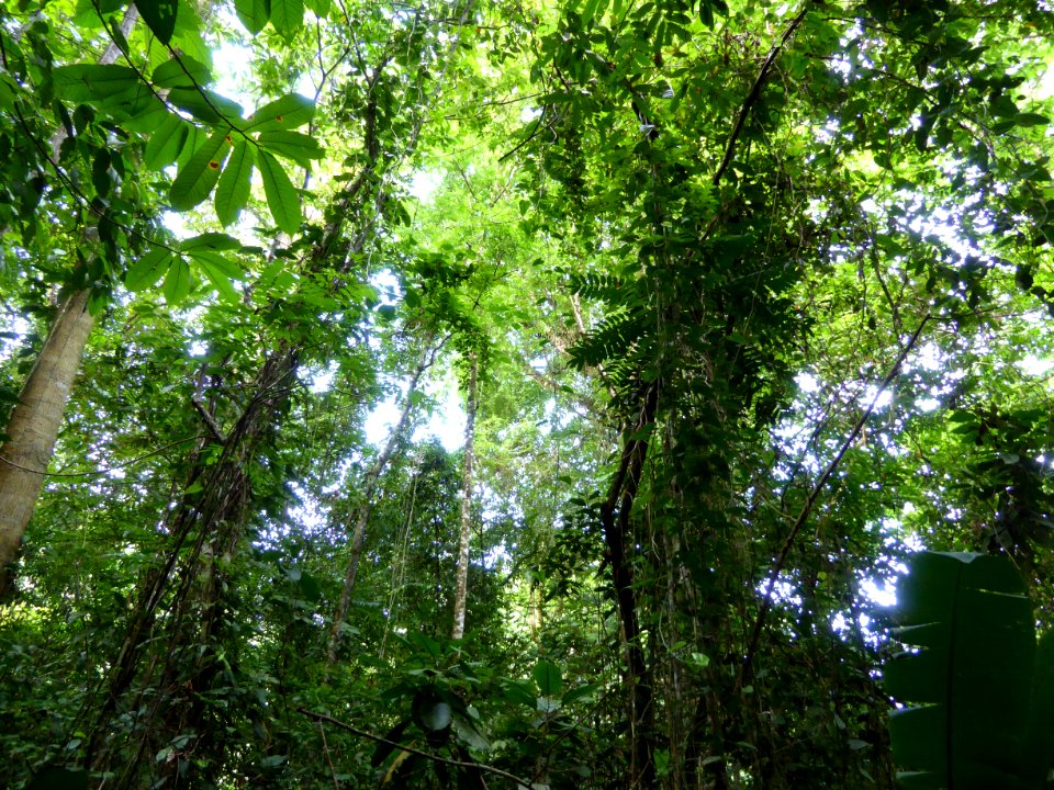P1000238
