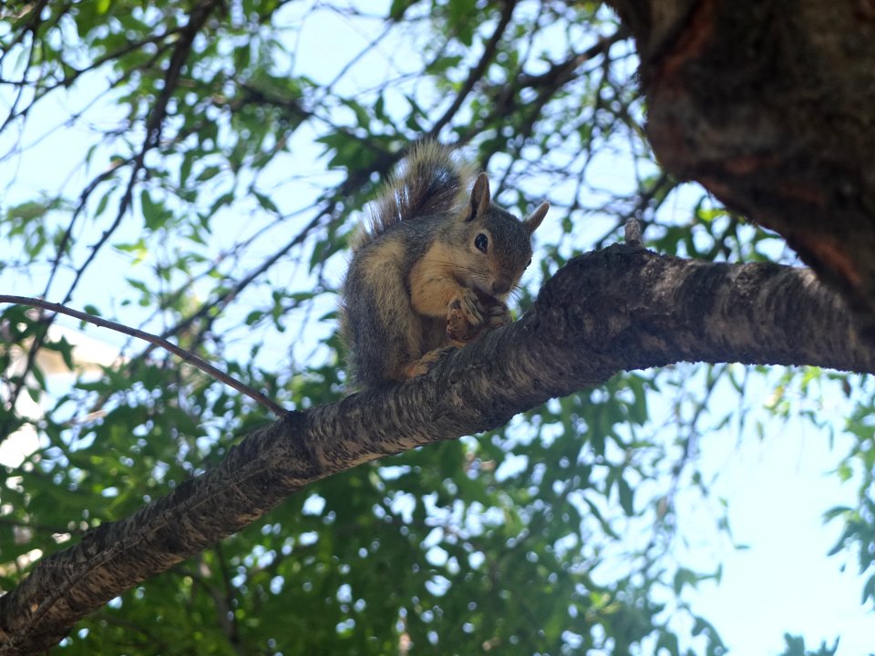 DSCF8200