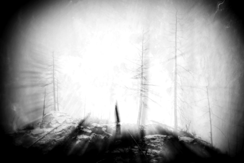 Land of the living