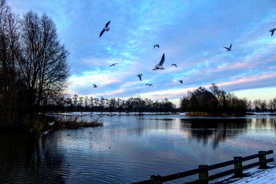 Melted winterwonderland