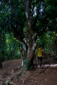 Kipu Ranch Adventures