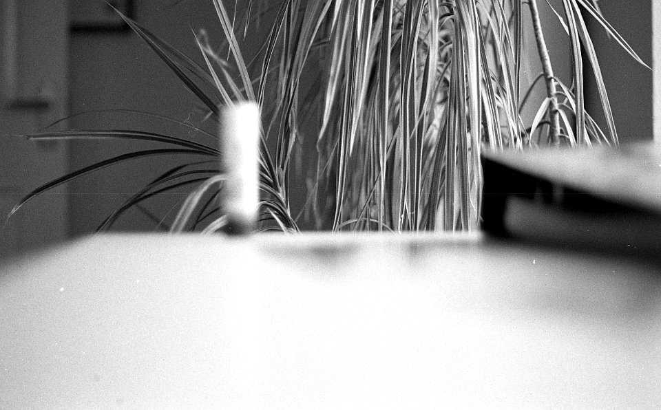 Black&WhiteFilm3001