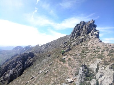 P70415-145709