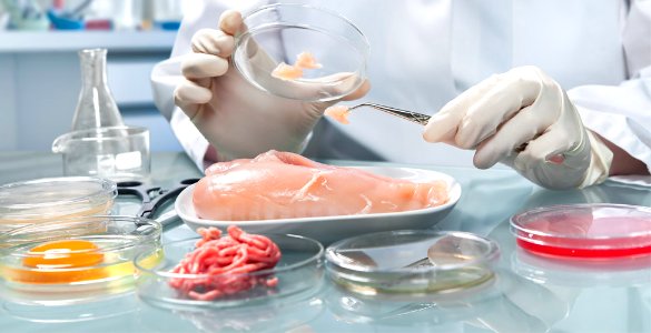 análisis de alimentos