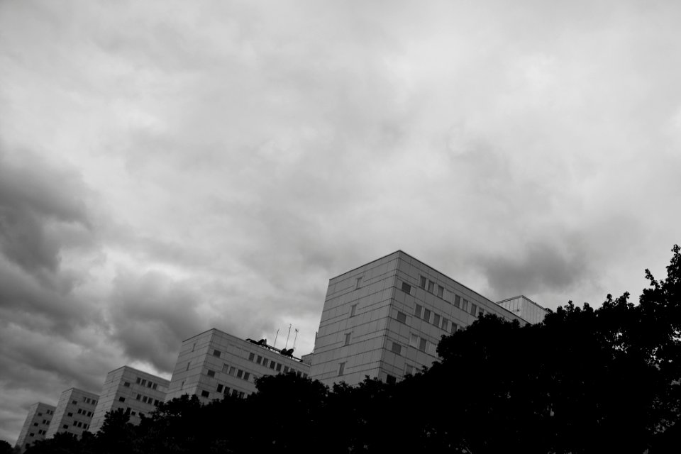 Stockholm Universitet