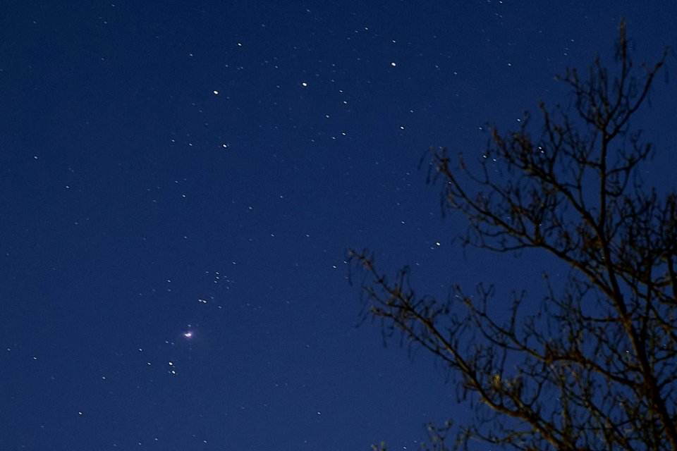 DSCF6262 Orion