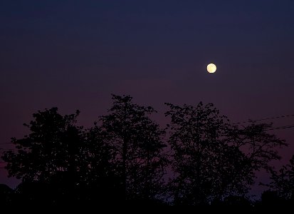 DSCF6291 Mond im Zwielicht