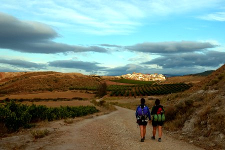 Camino de Santiago