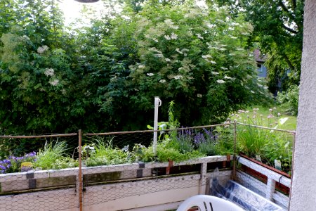 DSCF6082 Balkon