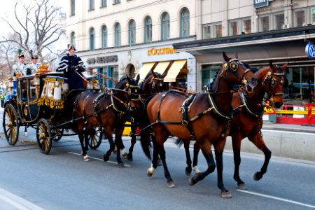King Rides Coach in Stockholm