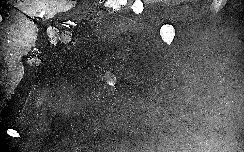 Black&WhiteFilm3031