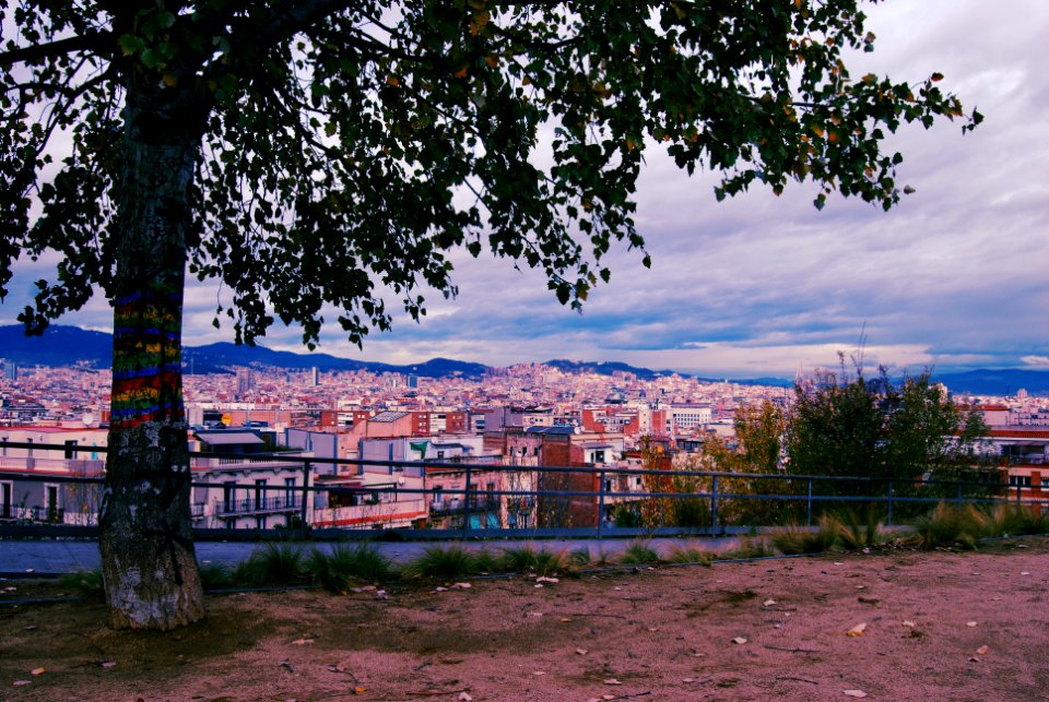 View somewhere near Passeig de Miramar