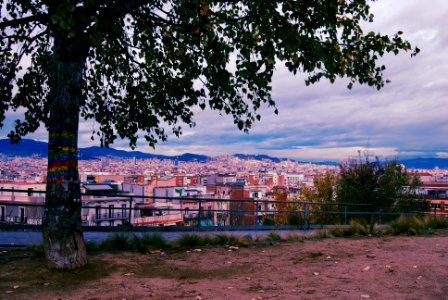View somewhere near Passeig de Miramar