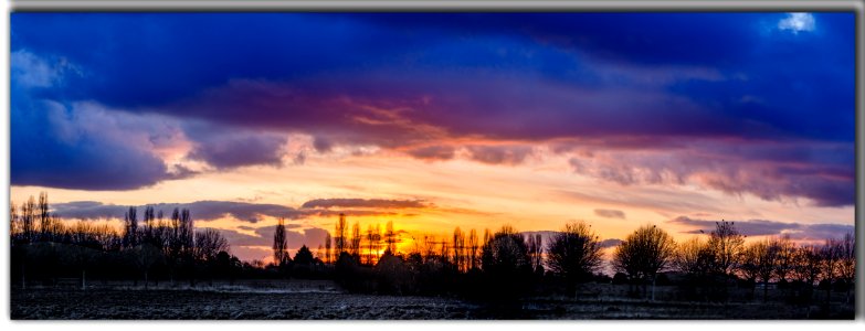 Ombres Chinoises