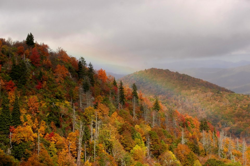 Wavelength dispersion (a.k.a. rainbow)  in Fall.