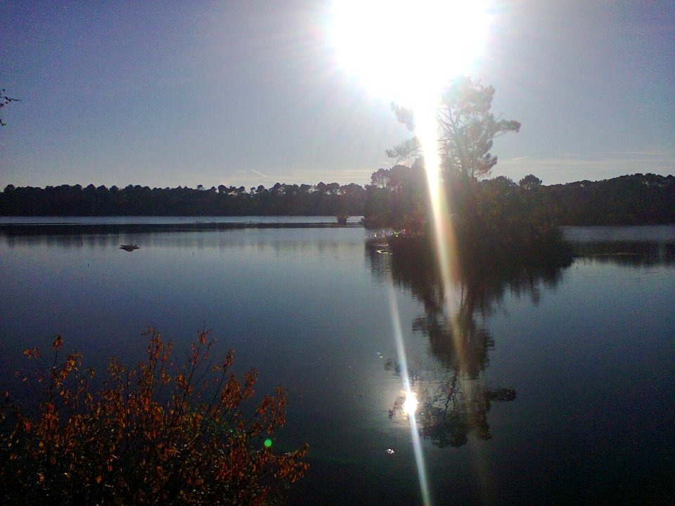 Jogs de lutz