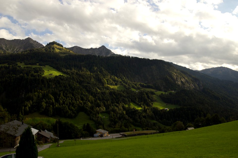 Forest and Sky, Sonntag, Austria