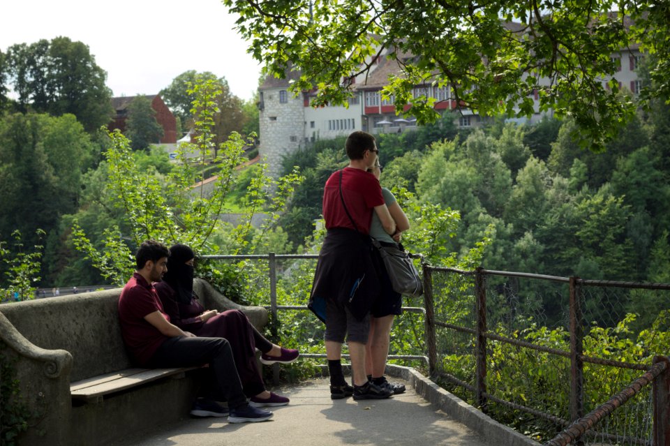 Two Couples Looking Over the Rhine Falls, Switzerland