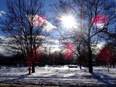 Préfontaine Park on Dezery St.