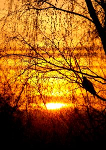 Observing  muskmelon-coloured sunrise