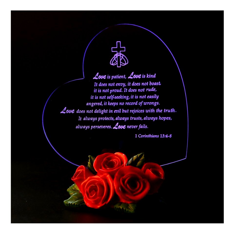 Giftgarden Valentines Gifts LED Gift with Rose Heart Decor The True Meaning of LOVE