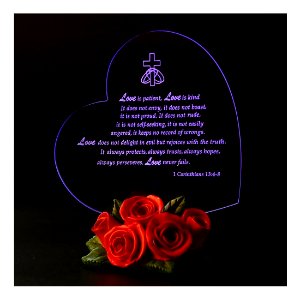 Giftgarden Valentines Gifts LED Gift with Rose Heart Decor The True Meaning of LOVE