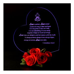 Giftgarden Valentines Gifts LED Gift with Rose Heart Decor The True Meaning of LOVE photo