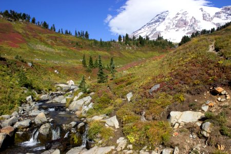 Mt Rainier photo