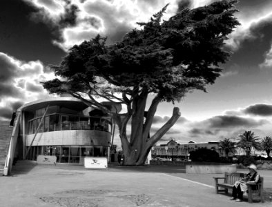 New Brighton Library Christchurch