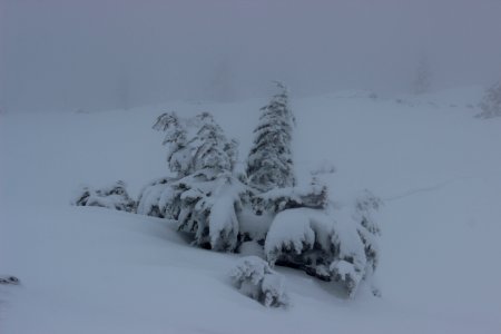 Timberline Lodge Ski Area