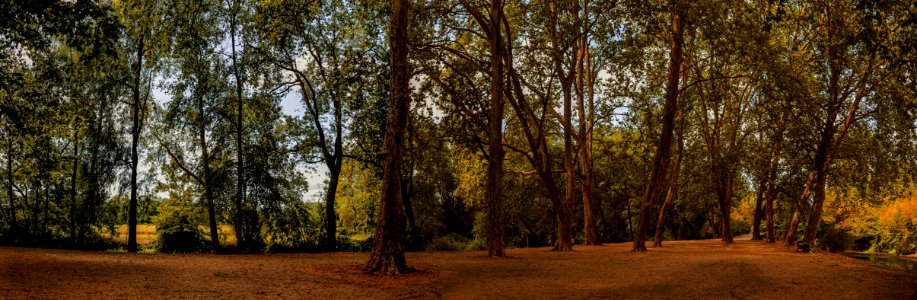 very nice place to picnic
