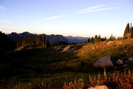 Mt Rainier