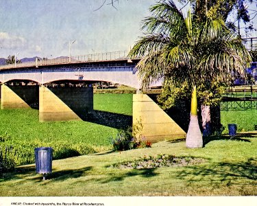 1974, January. Fitzroy Bridge and Fitzroy River (Rockhampton). The river is covered in water hyacinth. photo