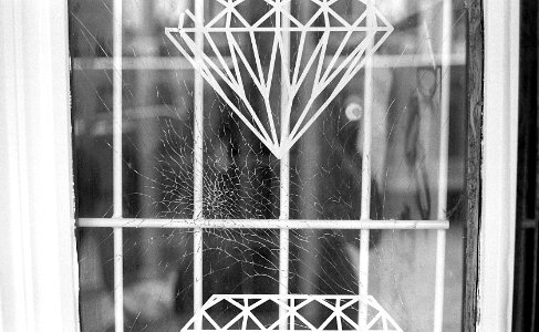 Black&WhiteFilm2015