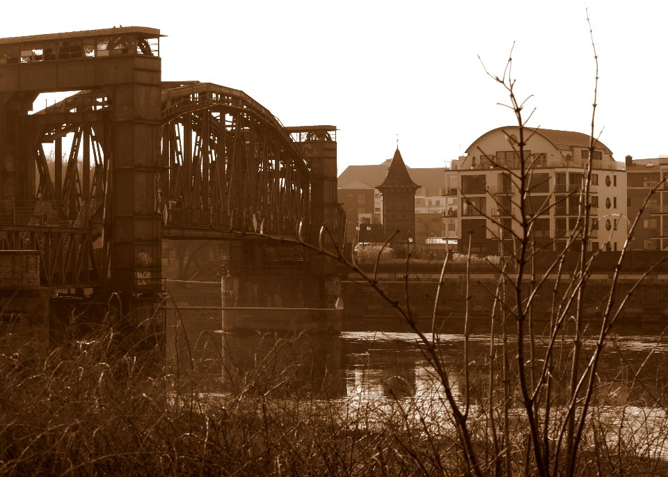 Elbe im Magdeburg