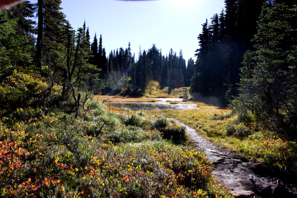 Tolmie Peak Fire Lookout