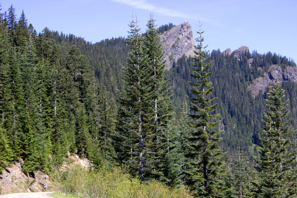 High Rock Fire Lookout