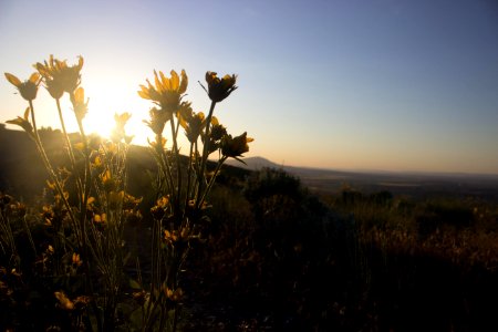 Badger Mountain