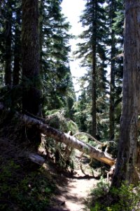 High Rock Fire Lookout