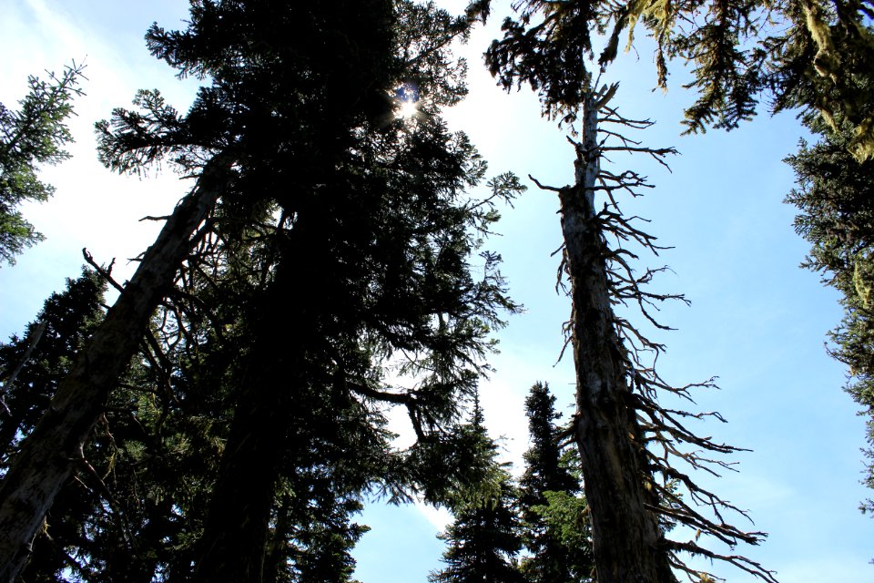 High Rock Fire Lookout