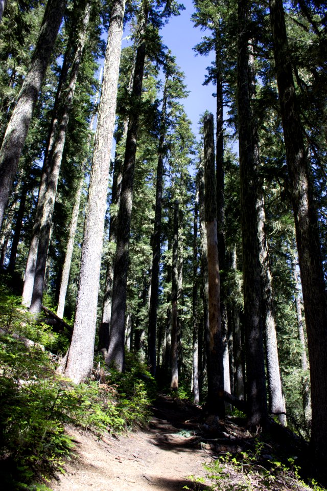 High Rock Fire Lookout
