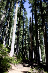High Rock Fire Lookout