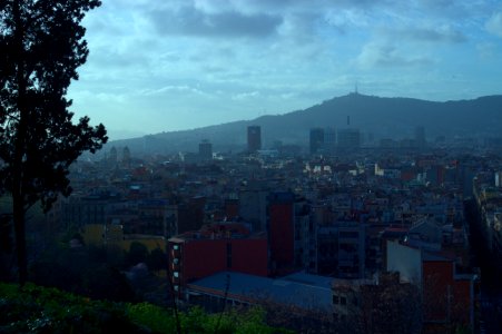 Sunset and Trees seen from Mirador del Poble Sec photo