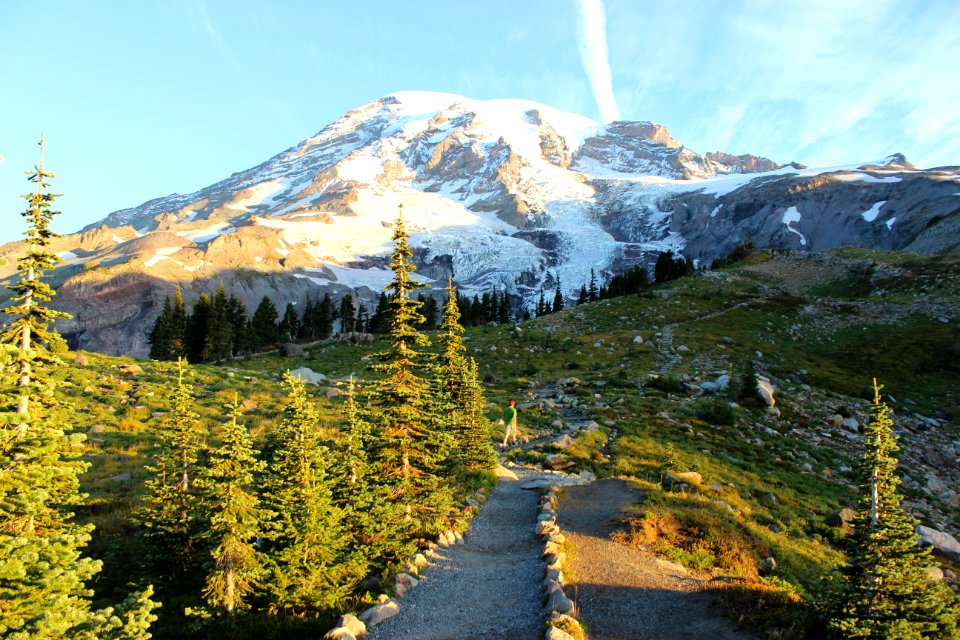 Mt Rainier