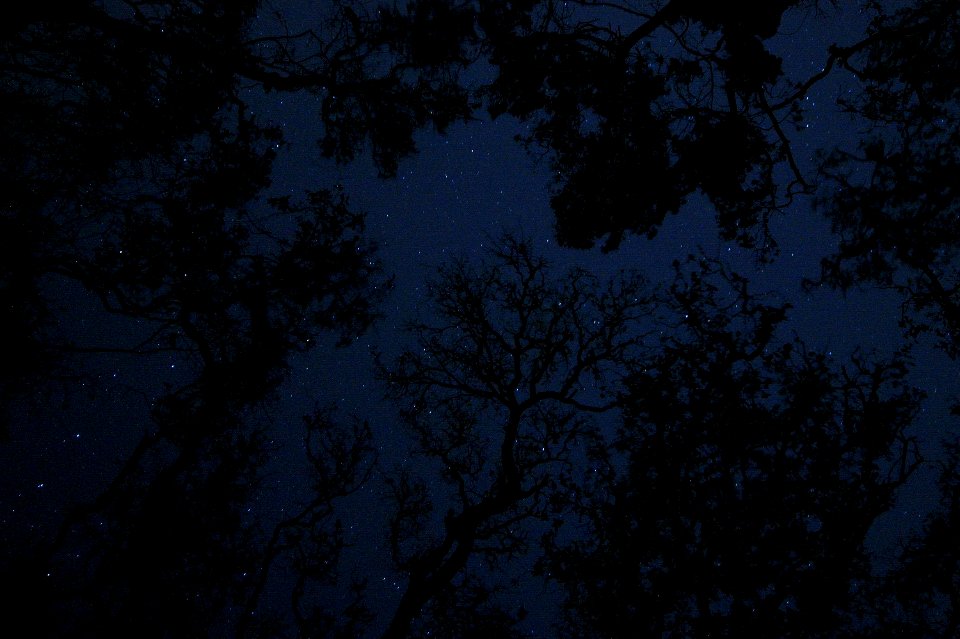 Camping Stars (visible in full view)