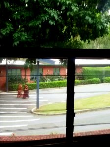 Trees are green : Saris are interesting