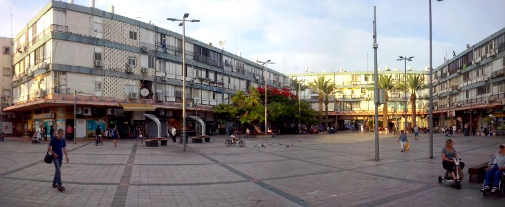 Holon